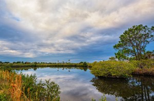  Black Point Drive, Canaveral National Seashore, DSC_3843-Edit,