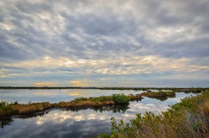 Black Point Drive - Canaveral National Seashore, DSC_3881-Edit