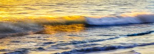 Golden Waves - Indian Harbour Beach, Florida