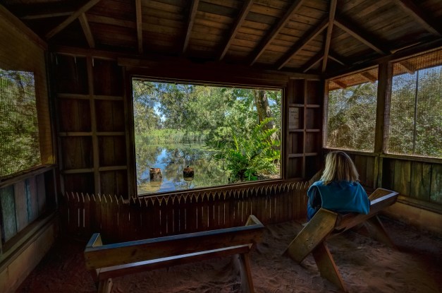 Bok Tower Gardens, Lake Wales, FL