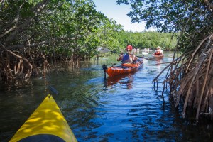 Pelican Island National Refuge