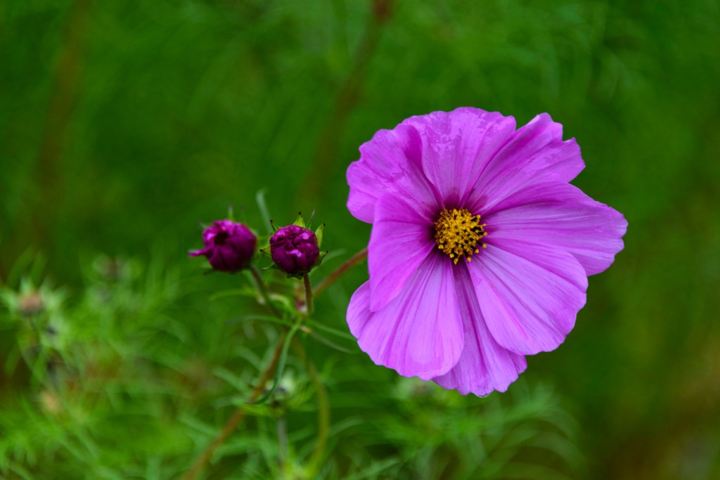 La Point, Wisconsin on Madeline Island