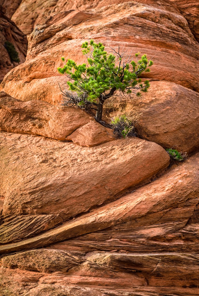 Ken's Lake, Moab, UT