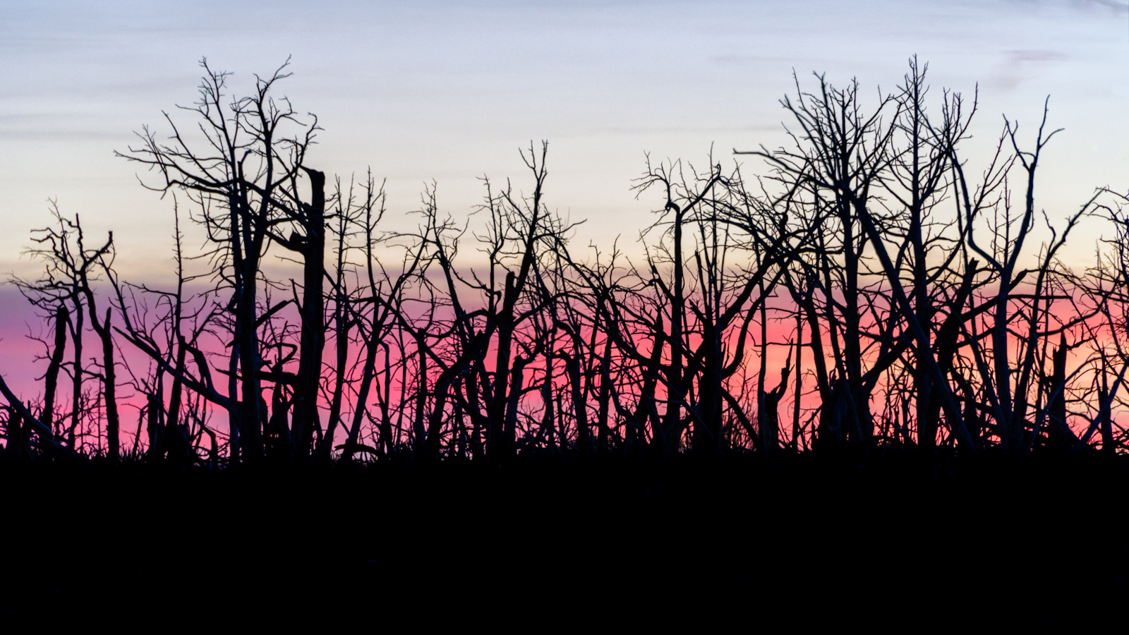 Sunset spectators - Mesa Verde, CO
