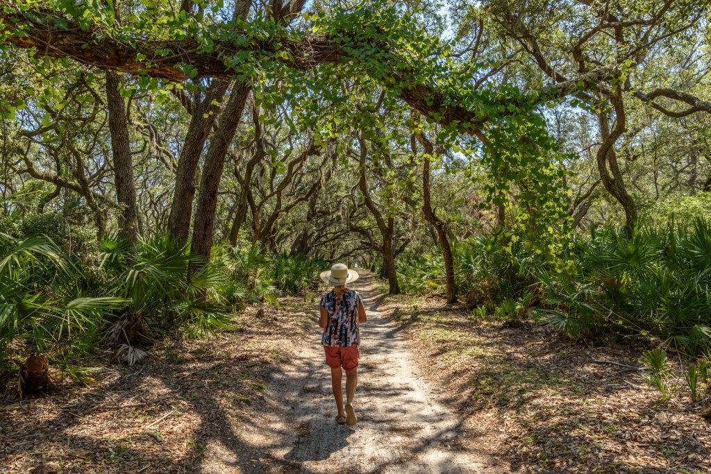 Hiking the roads on Cumberland Island