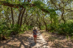 Hiking the roads on Cumberland Island