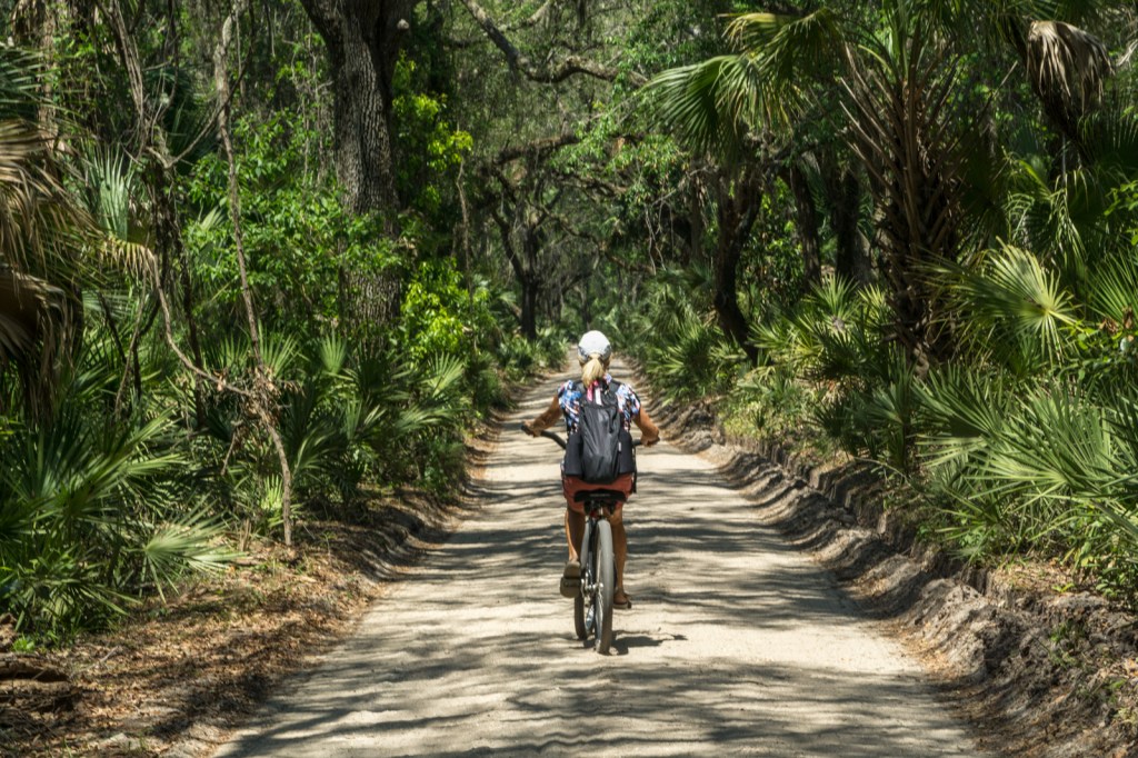 Biking the Main Road - Cumberland Island, GA