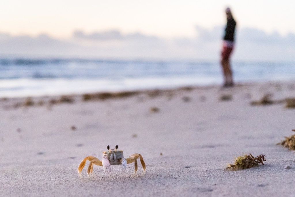 Sunrise Walk - Indian Harbour Beach, FL