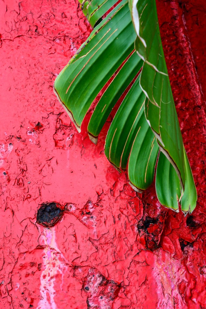 Contrast - Eau Gallie Arts District