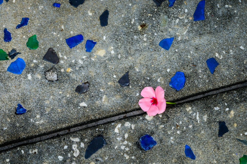 Fallen - Eau Gallie Arts District