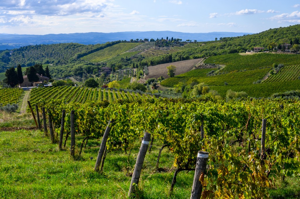 Castellina in Chianti, Italy