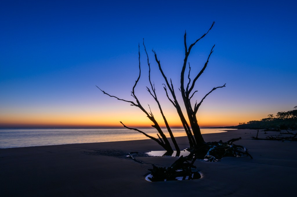 Boneyard Beach, Big Talbot Island, FL