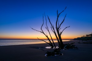 Boneyard Beach, Big Talbot Island, FL