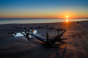 Boneyard Beach, Big Talbot Island, FL