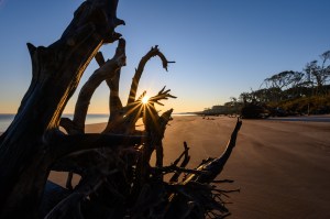 Boneyard Beach, Big Talbot Island, FL