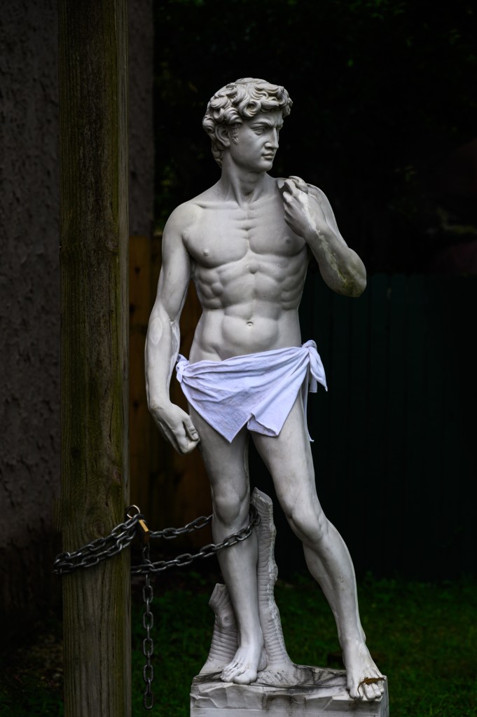 Statue of David
